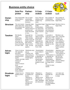 Business entity choice