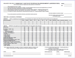 Spanish Rental Worksheet